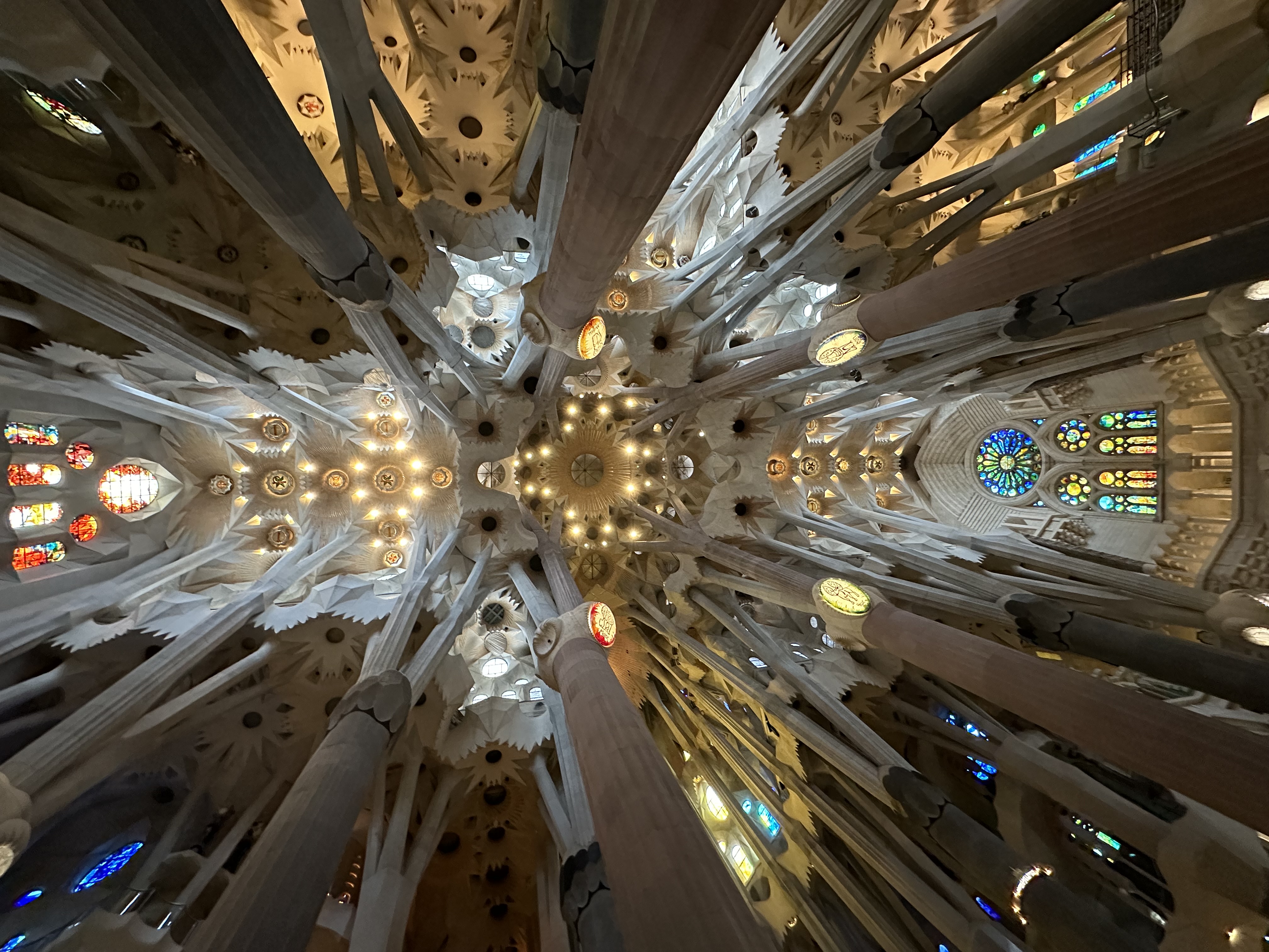 Барселона: (не)детский лагерь — фото 9