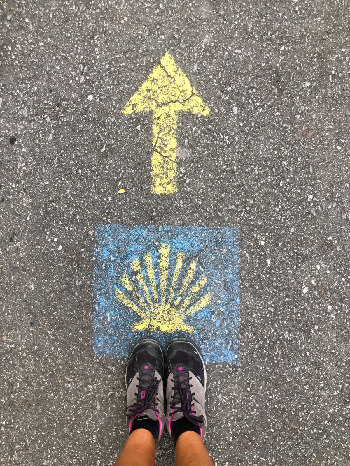 Камино: Португальский прибрежный путь — фото 7