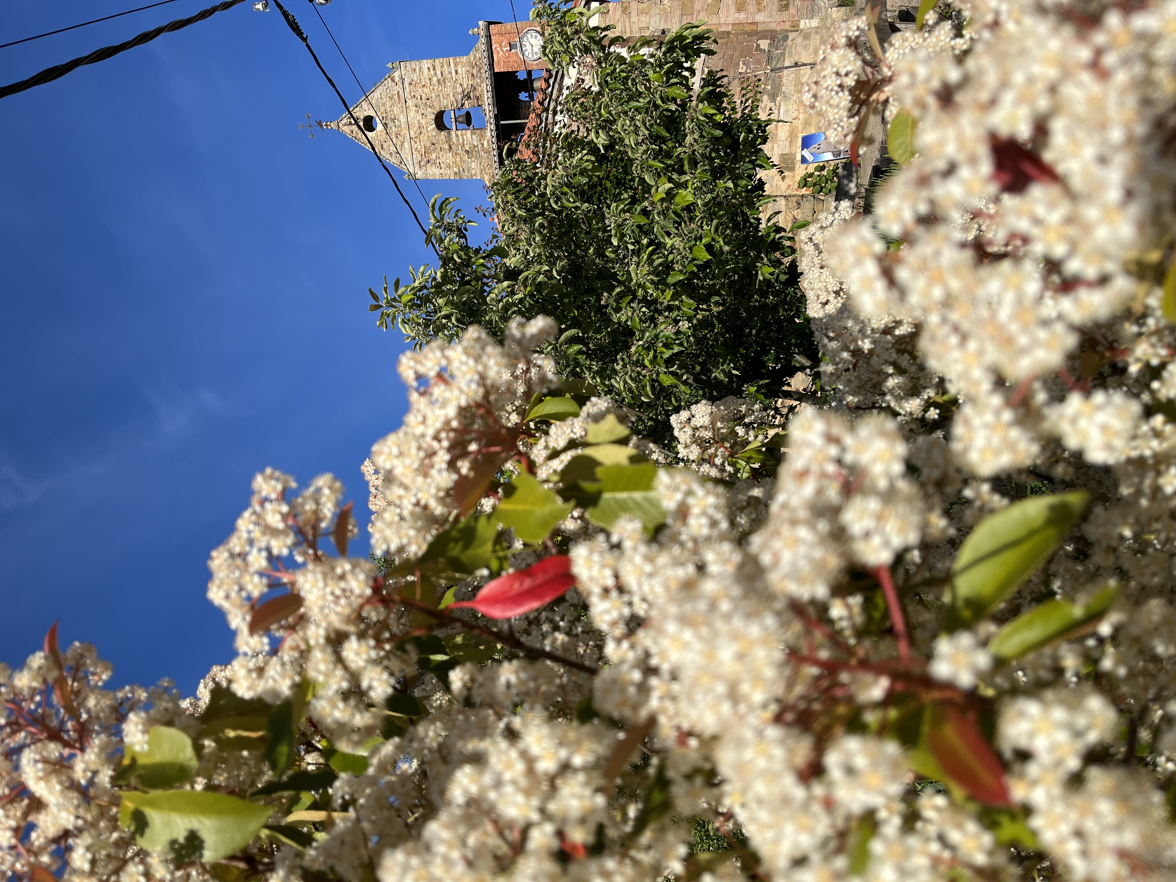 Камино: Португальский прибрежный путь — фото 14