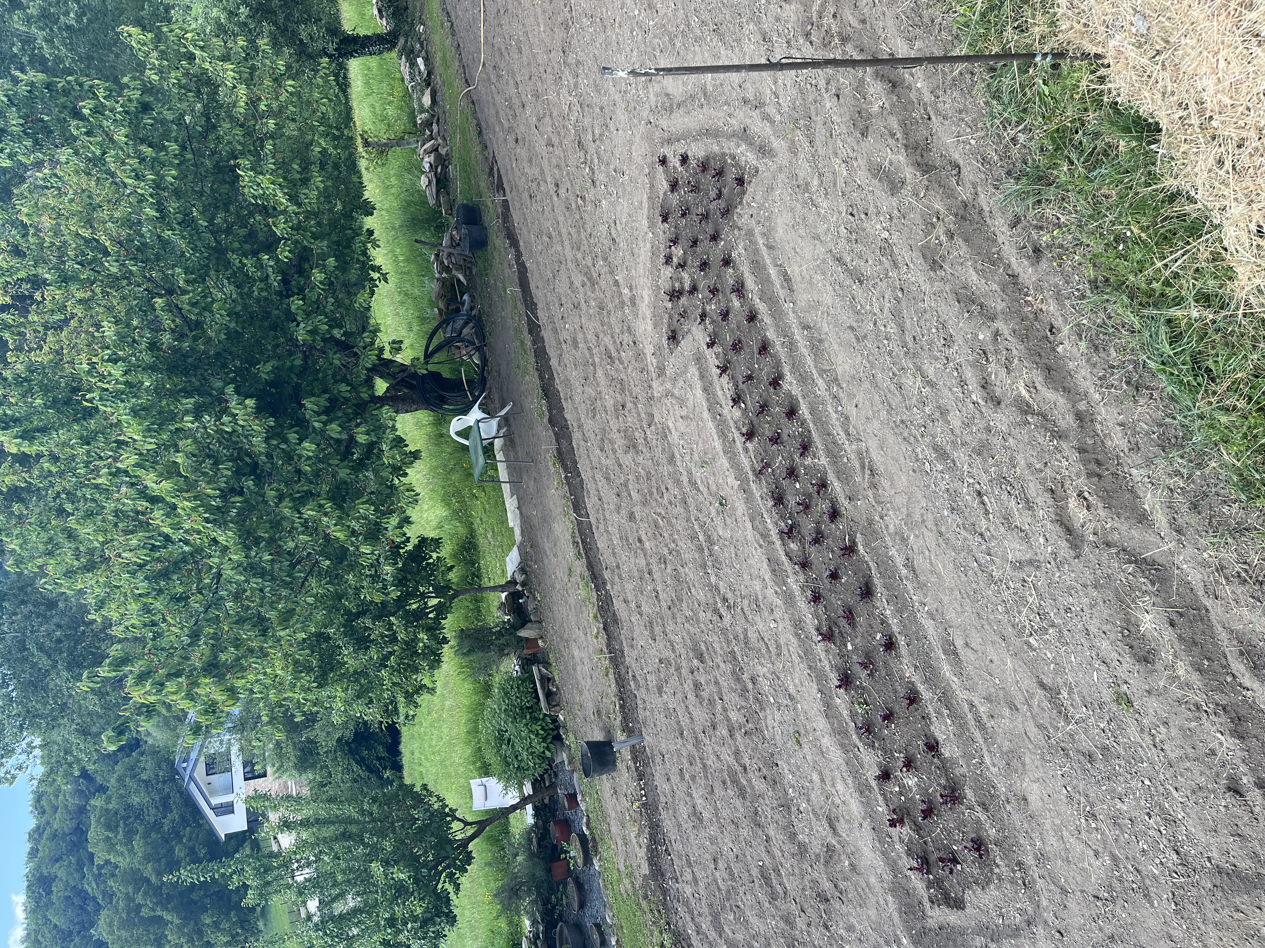 Камино: Португальский прибрежный путь — фото 15