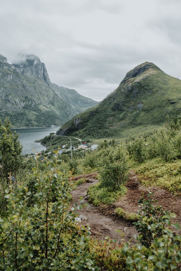 Лофотены: Road Trip + палатки — фото 9