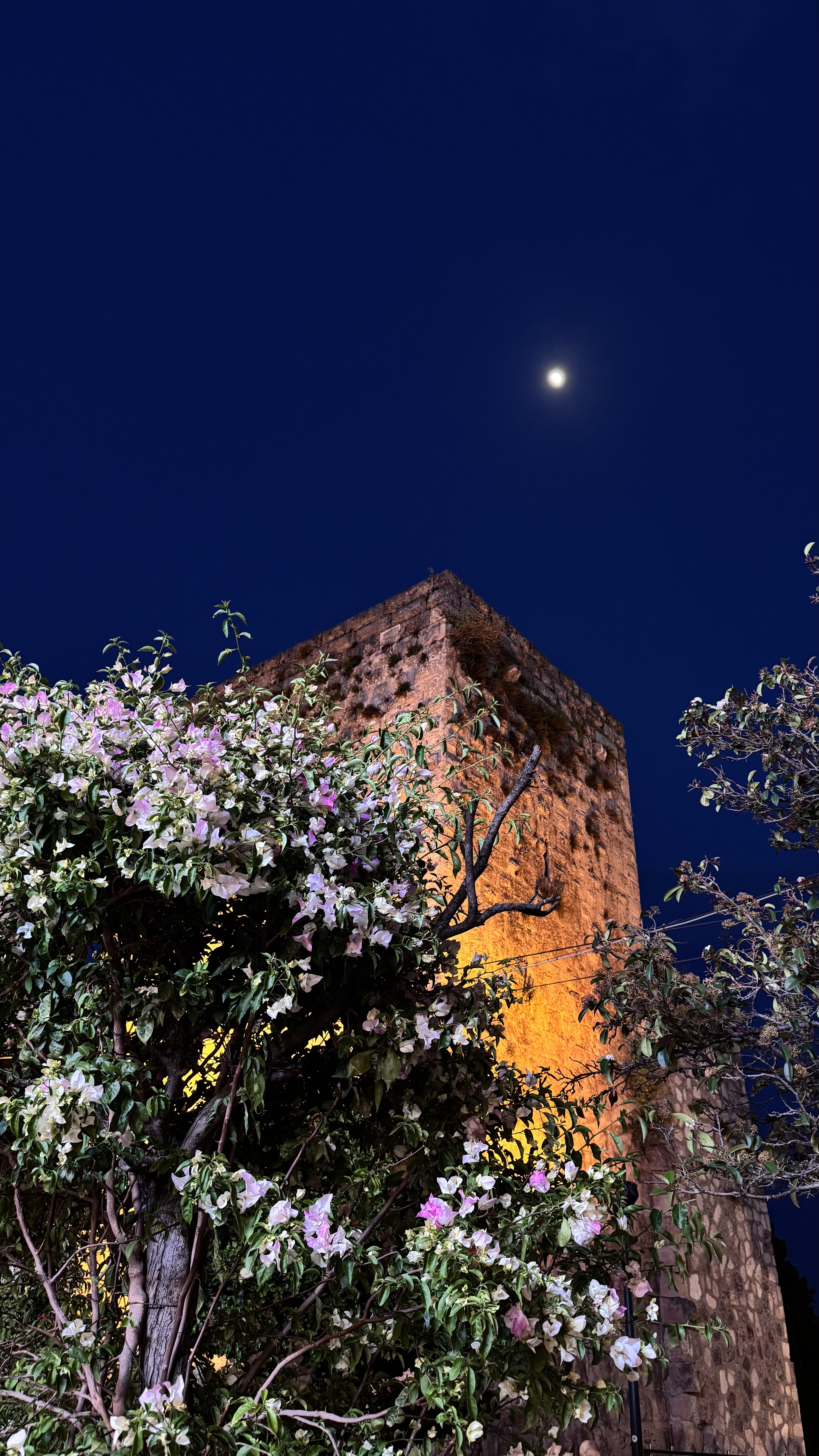 Ликийская тропа 50+ — фото 11