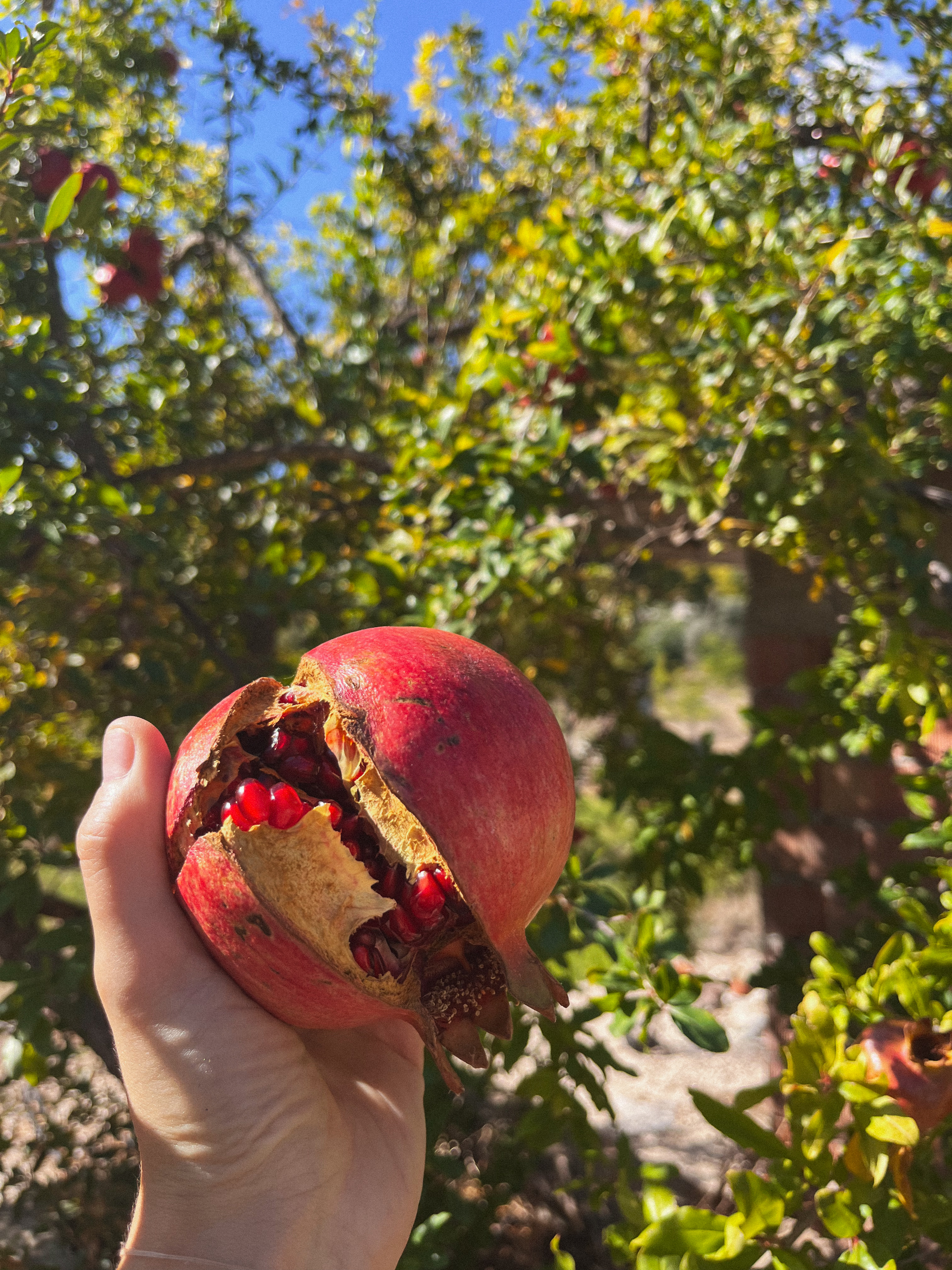 Ликийская тропа: восточная часть с палатками