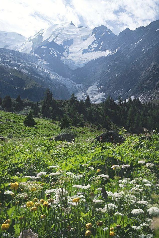 Треккинг вокруг Монблана (Tour du Mont Blanc) — фото 9