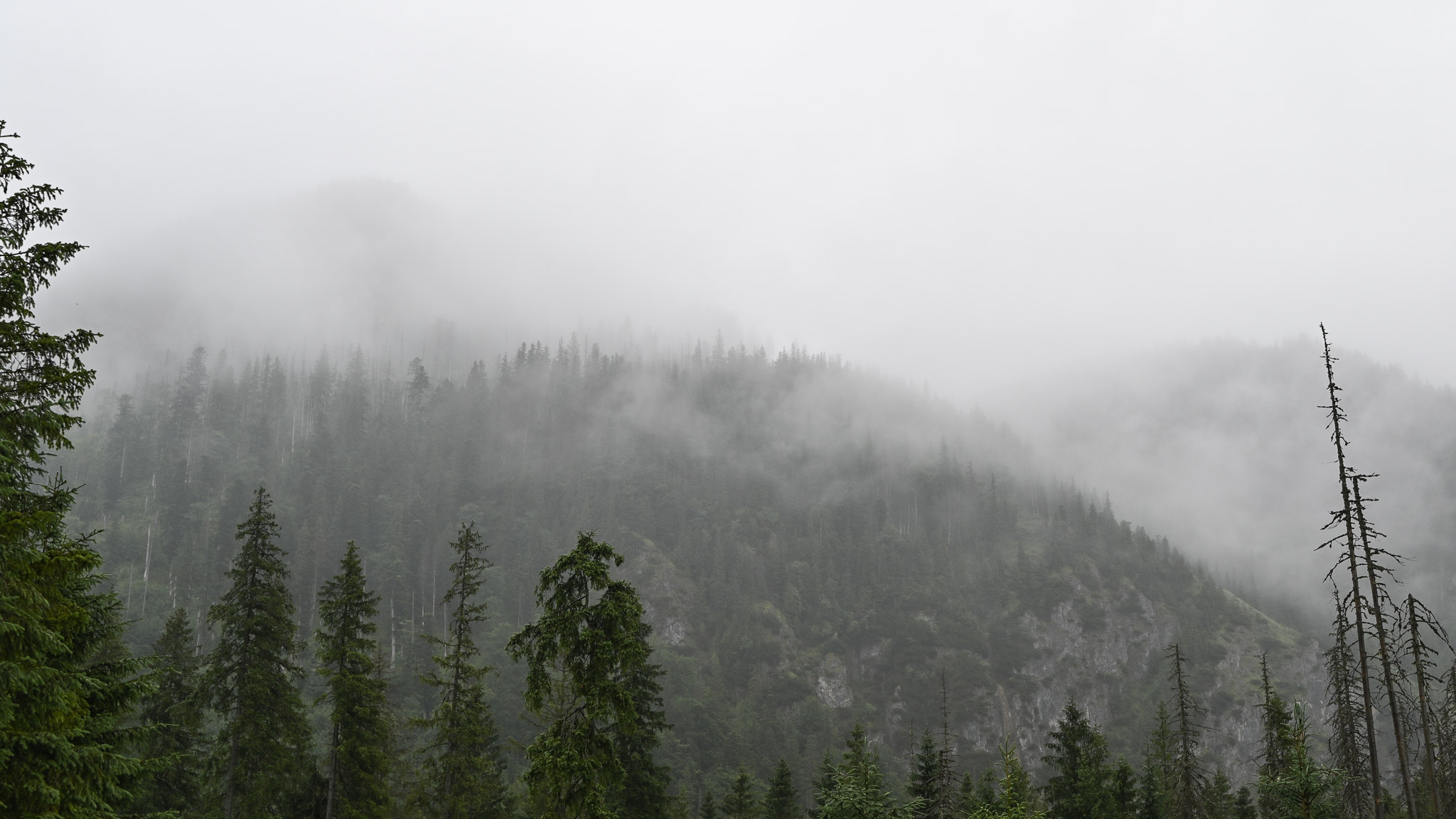 Татры, Бескиды и термы — фото 11
