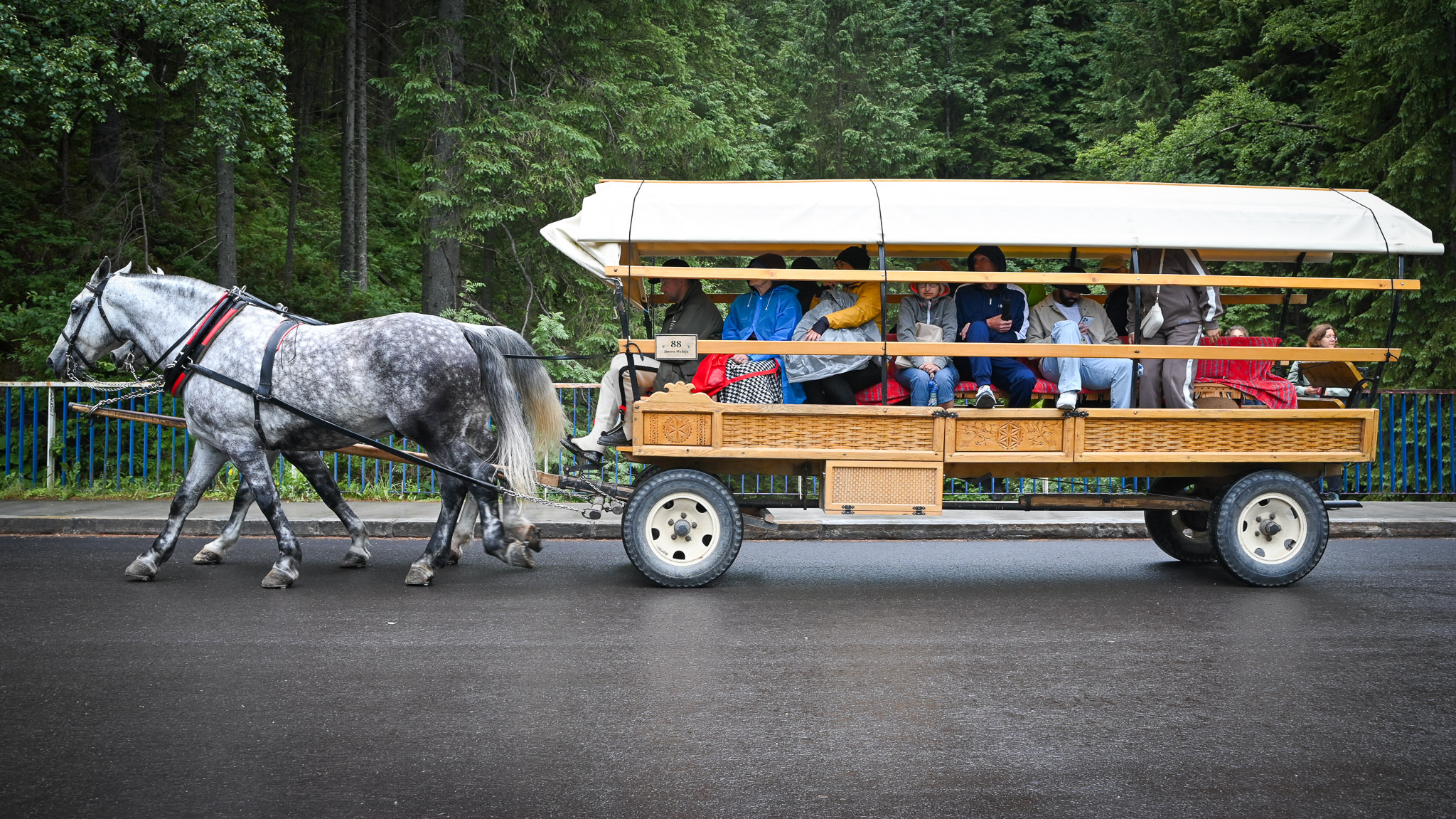 Татры, Бескиды и термы — фото 12