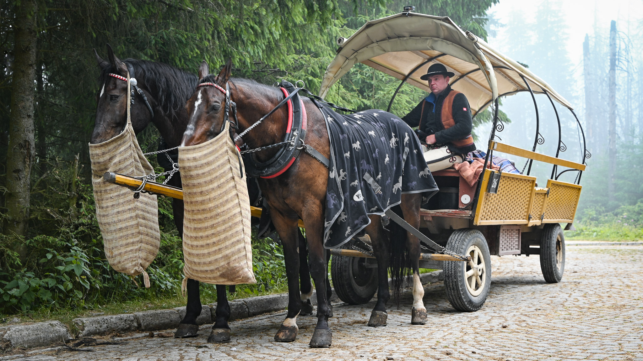 Татры, Бескиды и термы — фото 15