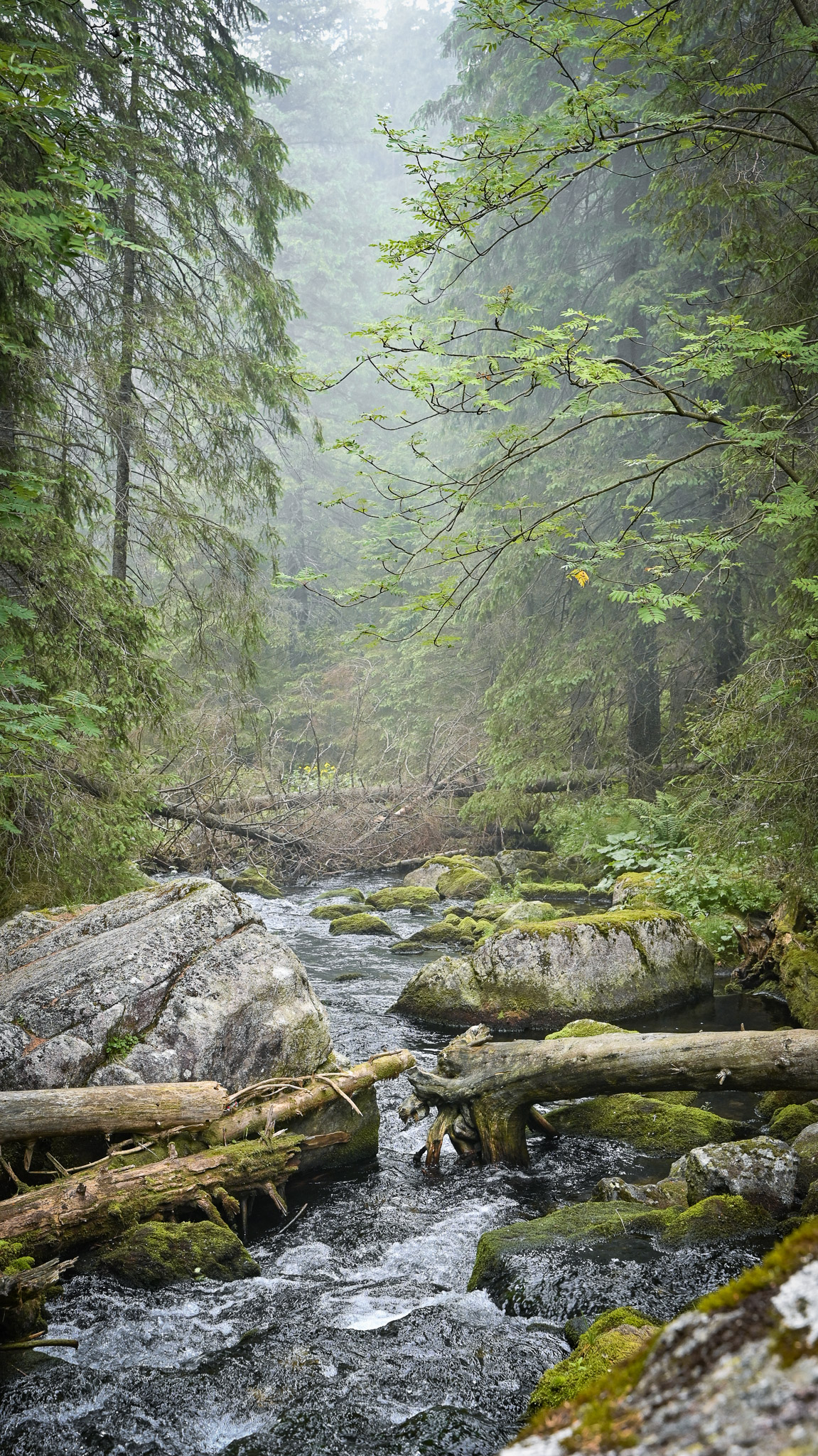 Татры, Бескиды и термы — фото 16